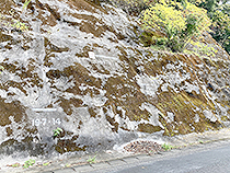 四万十川氾濫水位表示