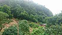 土砂で流された祖父母が住んでいた家屋A