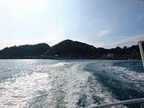 八幡浜大島D