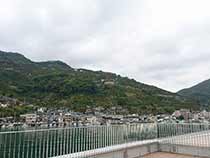 八幡浜日の丸みかん山C
