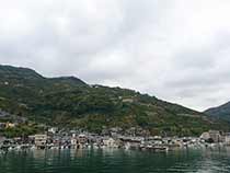 八幡浜日の丸みかん山D