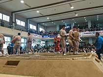 乙亥大相撲Cwidth="118"